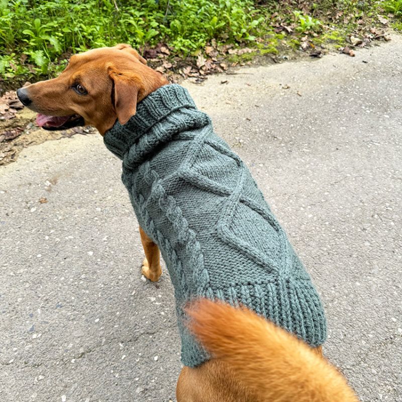Aran Dog Sweater Knitting Pattern PDF – Handy Little Me Shop