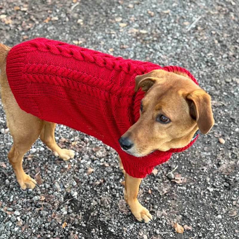 Cable Dog Sweater Knitting Pattern