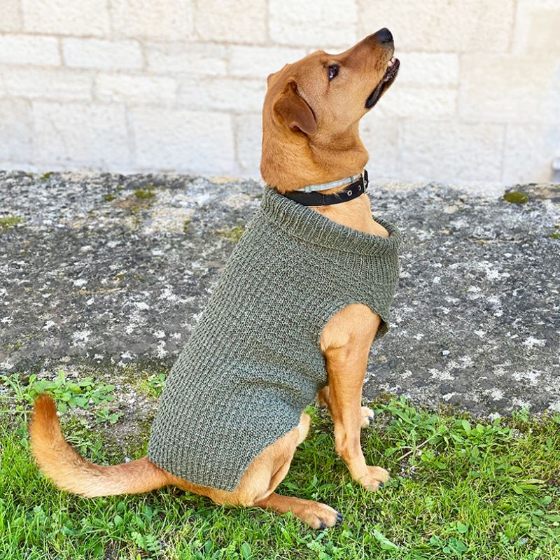 Dog Sweater Knitting Pattern (Straight Needles) – Handy Little Me Shop dog-sweater-knitting-pattern-straight-needles-handy-little-me-shop