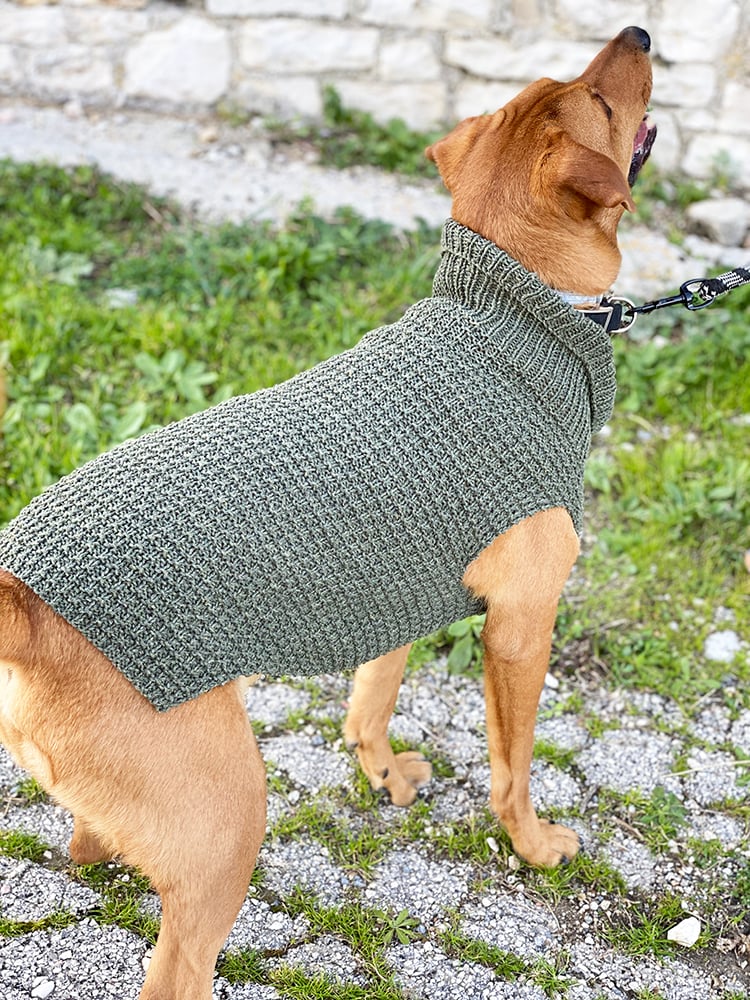Dog Sweater Knitting Pattern (Straight Needles)
