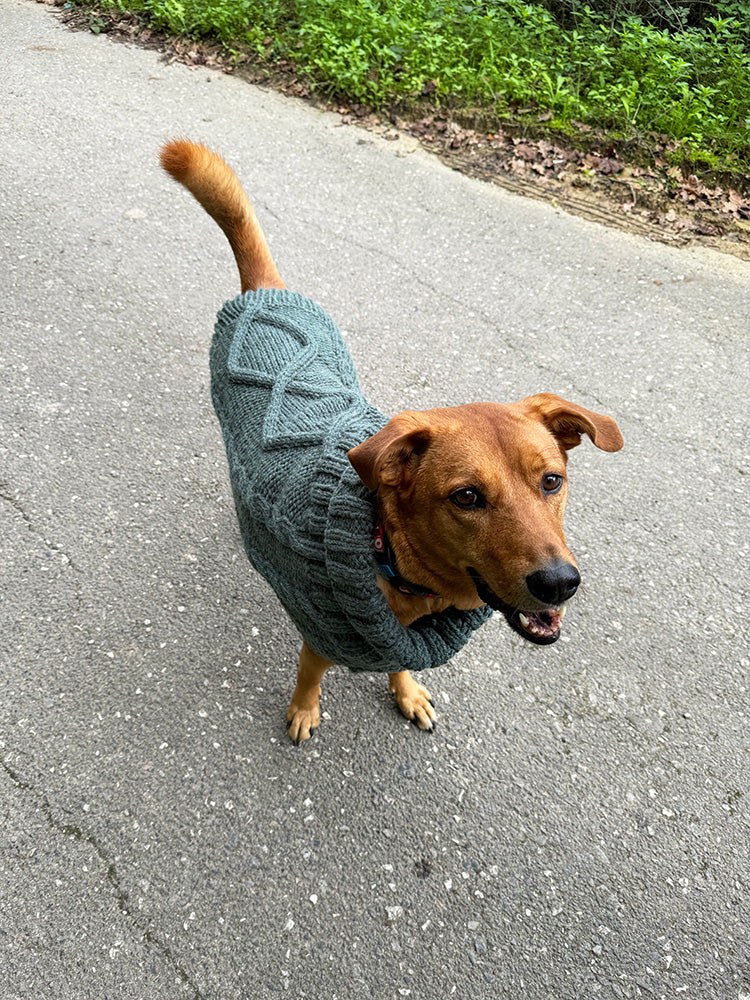 Aran Dog Sweater Knitting Pattern