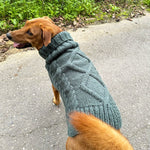 Aran Dog Sweater Knitting Pattern