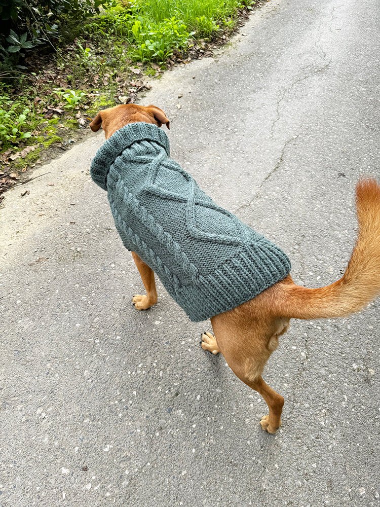 Aran Dog Sweater Knitting Pattern - Handy Little Me Shop