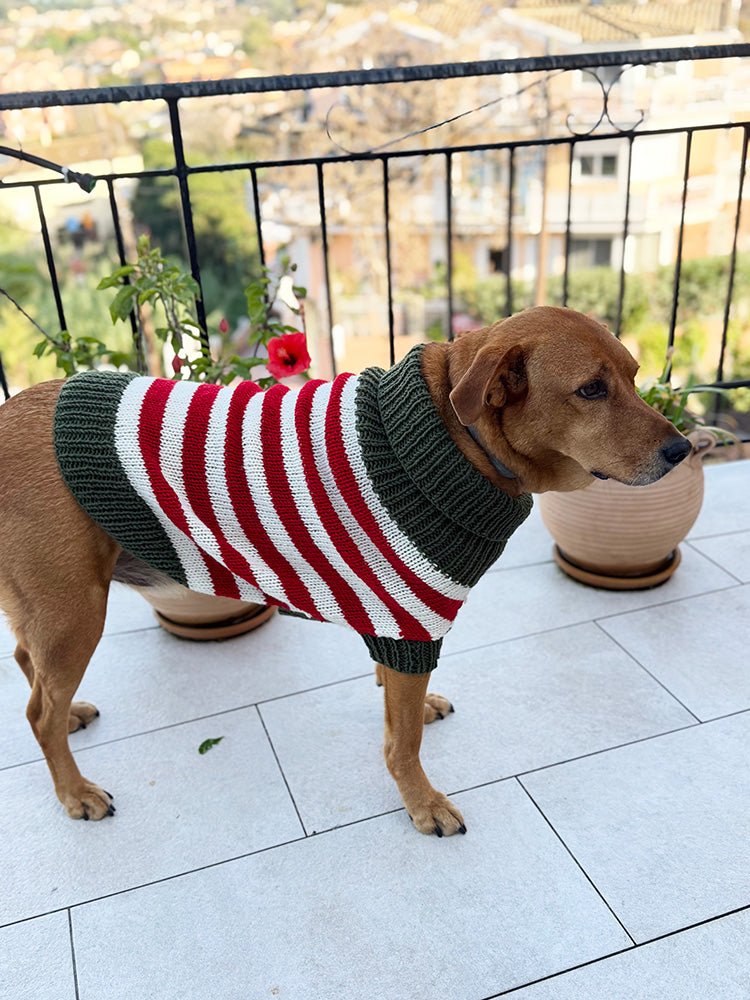 Christmas Elf Dog Sweater Knitting Pattern - Handy Little Me Shop