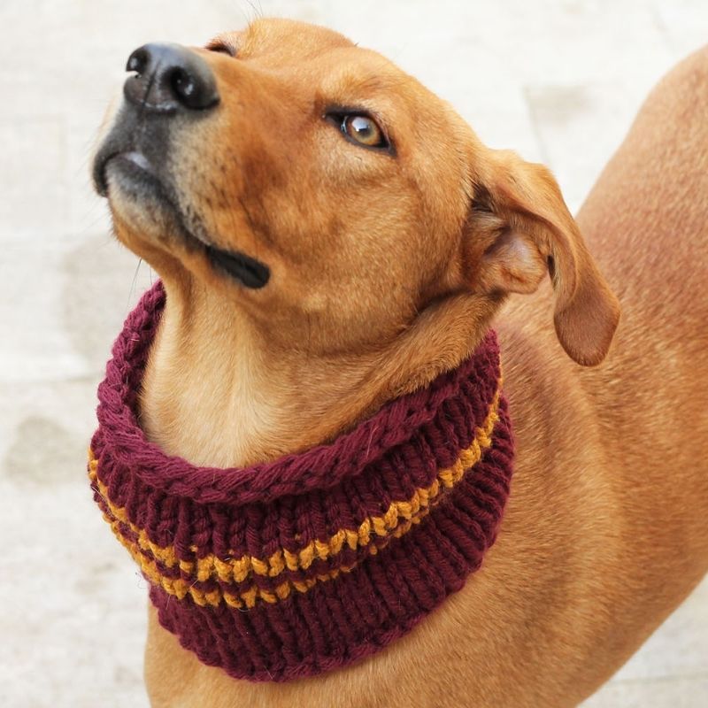 The Handy Knitter Issue 10 - Oct (Second Edition) - Handy Little Me Shop