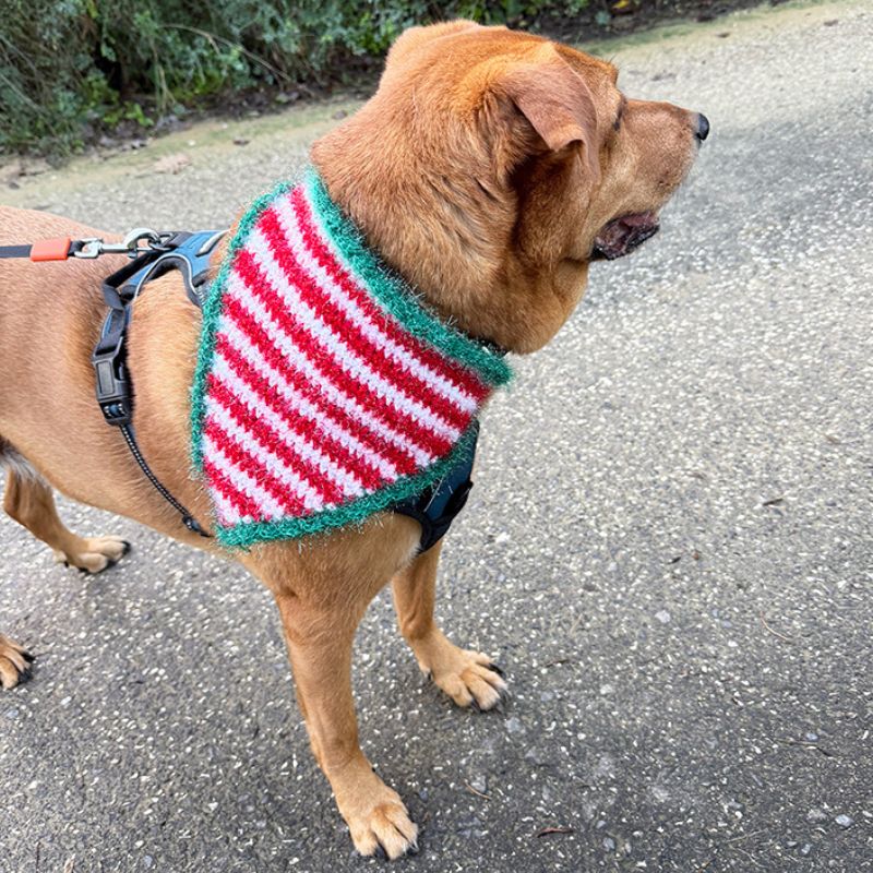Elf Stripes Crochet Dog Bandana Pattern (4 Sizes)