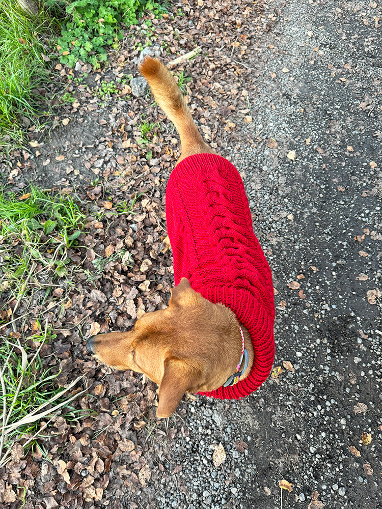 Cable Dog Sweater Knitting Pattern