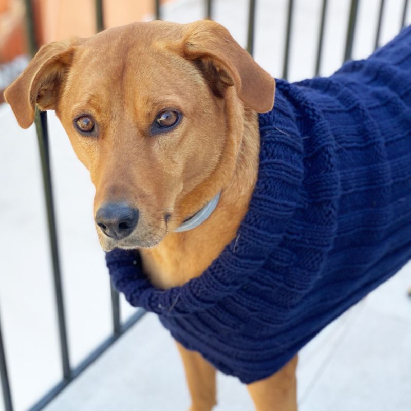 The Handy Knitter Issue 9 - Sep (Second Edition) - Handy Little Me Shop