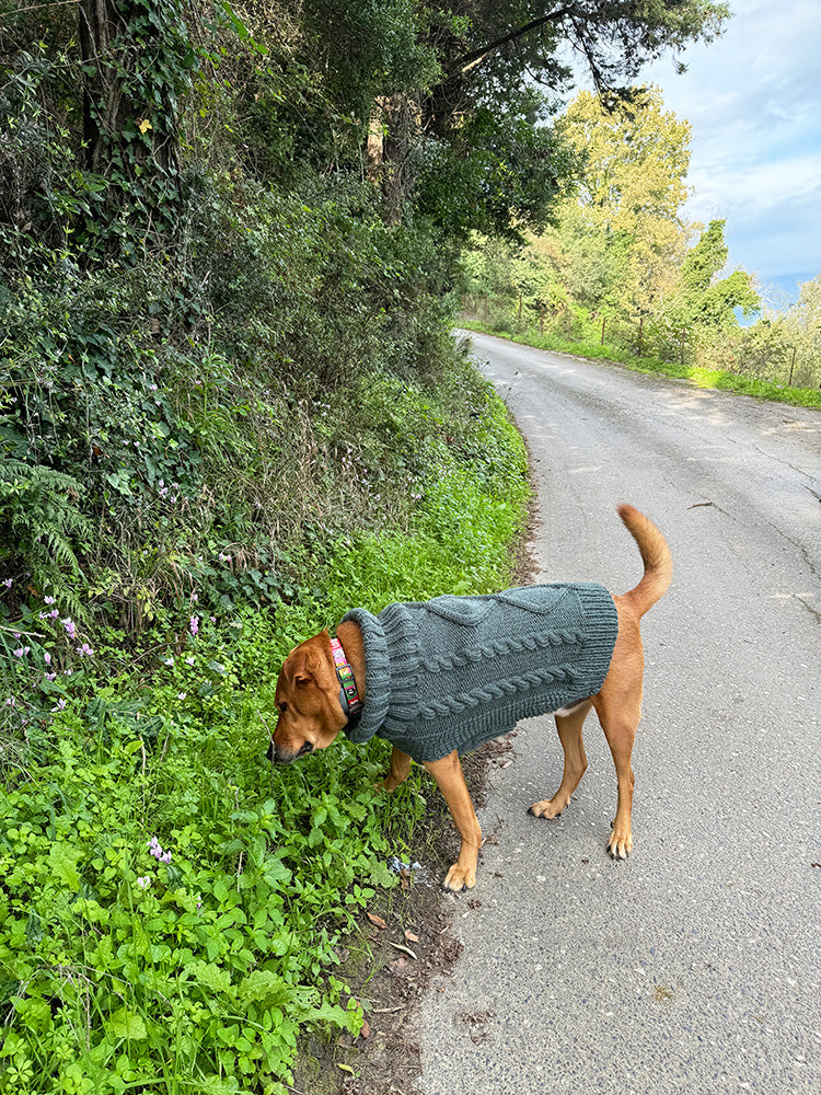 Aran Dog Sweater Knitting Pattern