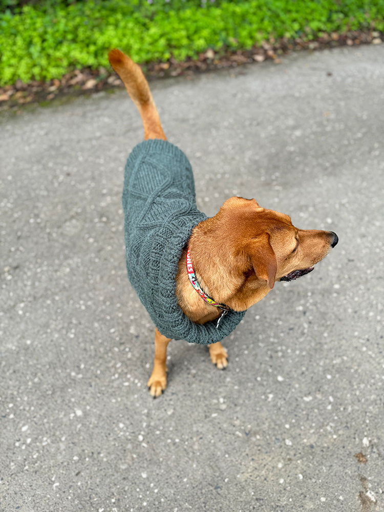 Aran Dog Sweater Knitting Pattern