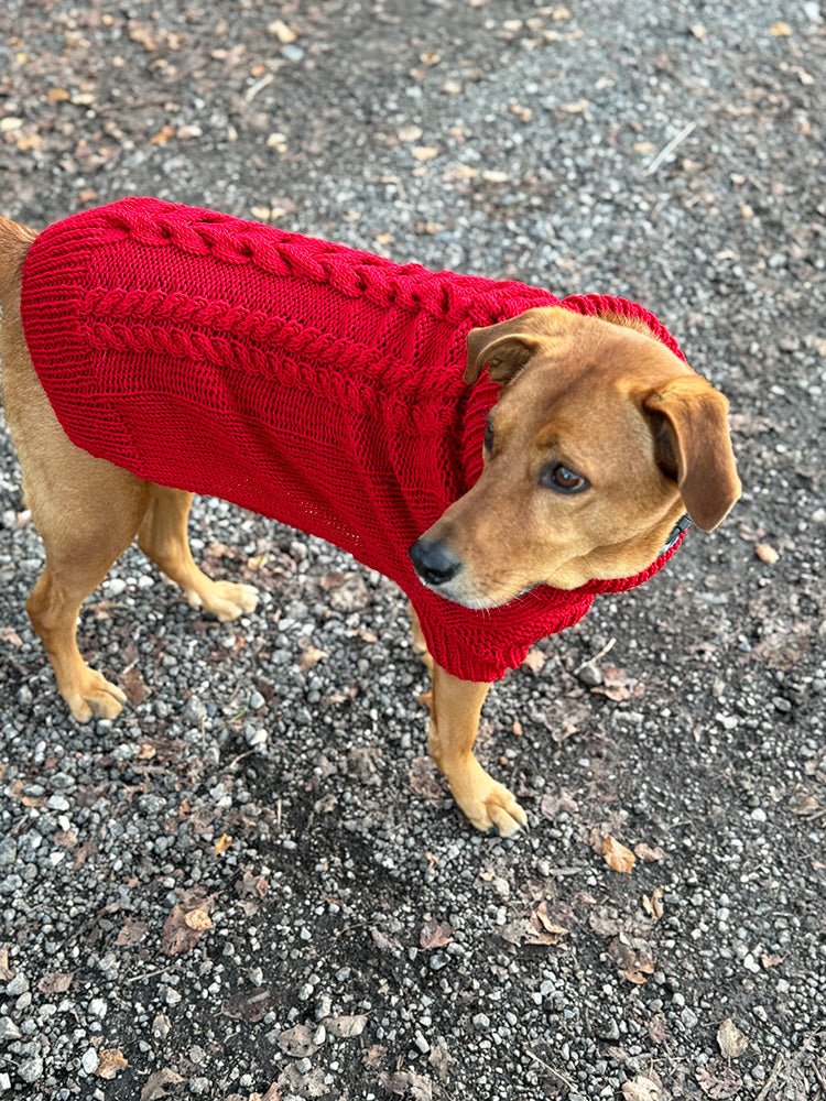 Cable Dog Sweater Knitting Pattern - Handy Little Me Shop