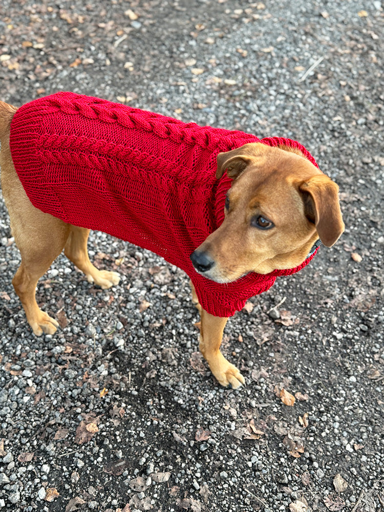 Cable Dog Sweater Knitting Pattern - Main Image