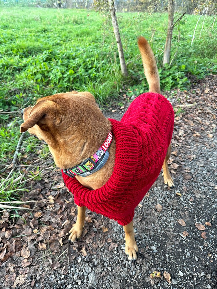 Cable Dog Sweater Knitting Pattern - Handy Little Me Shop