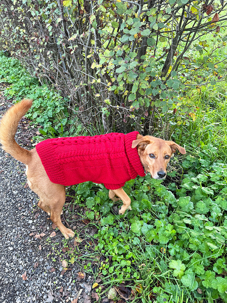 Cable Dog Sweater Knitting Pattern