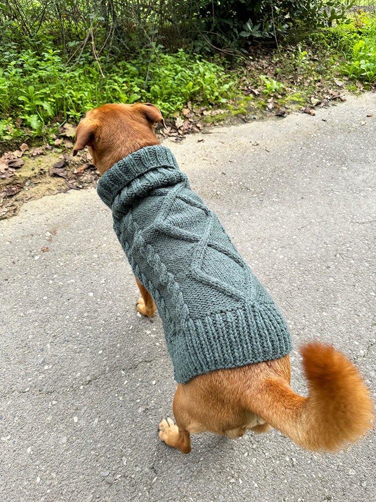 Aran Dog Sweater Knitting Pattern - Handy Little Me Shop