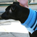 Dog Sweater Knitting Pattern