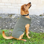 Dog Sweater Knitting Pattern (Straight Needles)