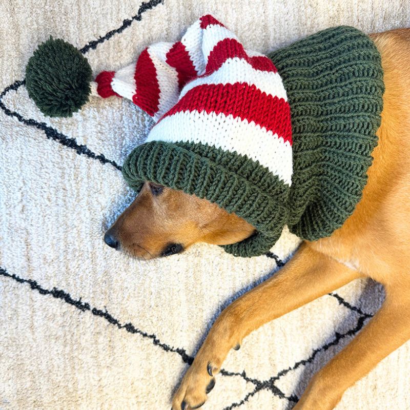 Dog Elf Hat Knitting Pattern