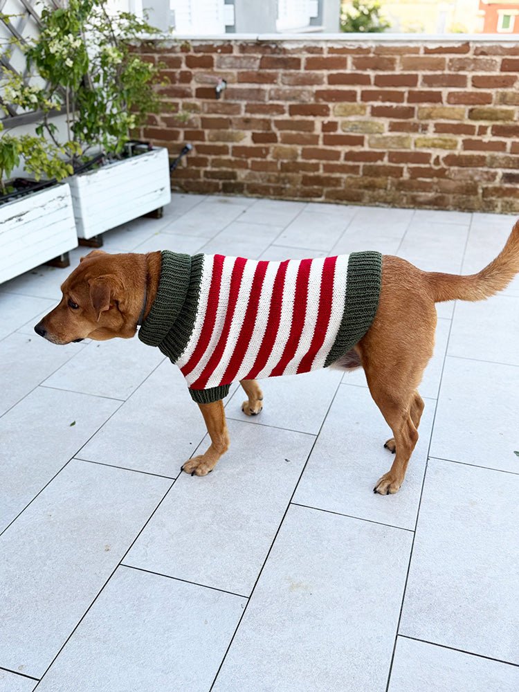 Christmas Elf Dog Sweater Knitting Pattern - Handy Little Me Shop