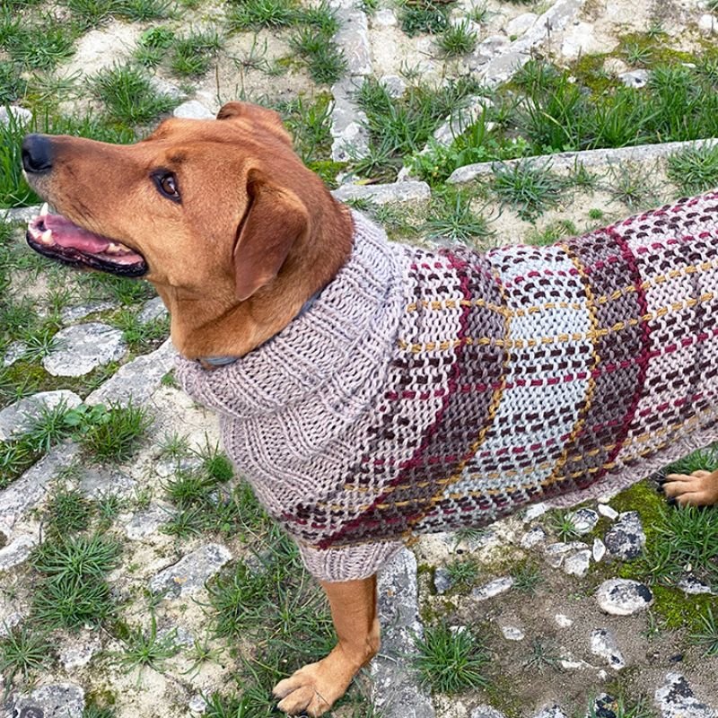 Fraser Tartan Dog Sweater Pattern - Handy Little Me Shop