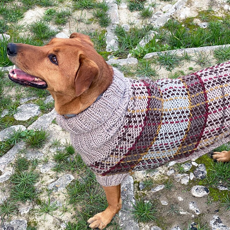 Fraser Tartan Dog Sweater Pattern