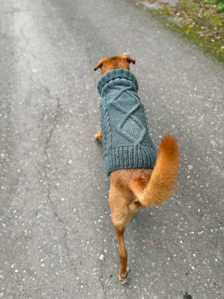 Aran Dog Sweater Knitting Pattern - Handy Little Me Shop