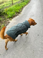 Aran Dog Sweater Knitting Pattern