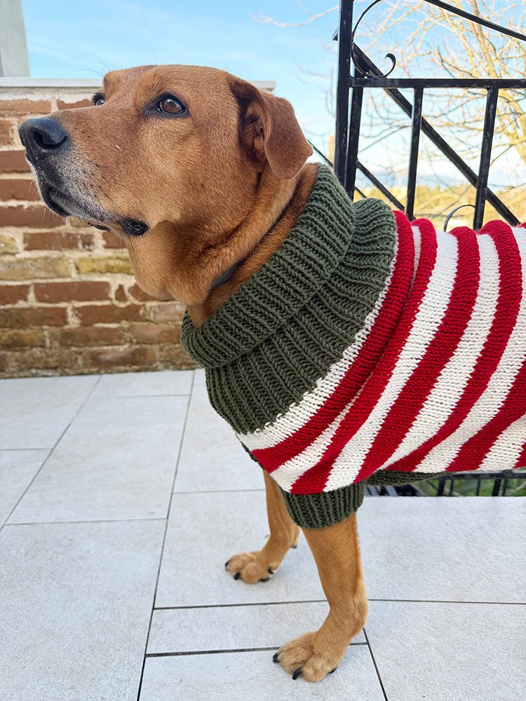 Christmas Elf Dog Sweater Knitting Pattern - Handy Little Me Shop