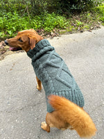 Aran Dog Sweater Knitting Pattern