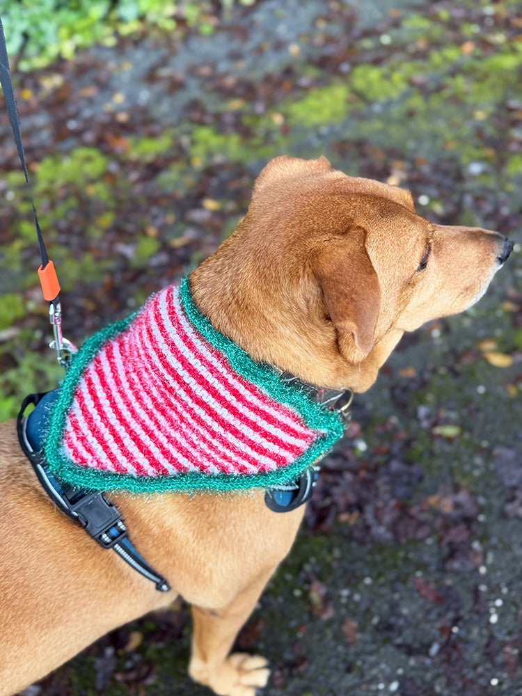 Christmas Elf Dog Bandana – Knitting Pattern PDF (4 Sizes) - Handy Little Me Shop
