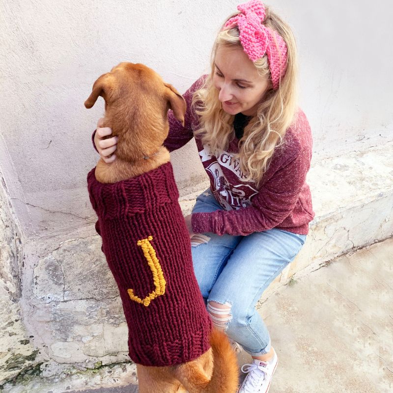 Mischief Managed Dog Sweater Knitting Pattern