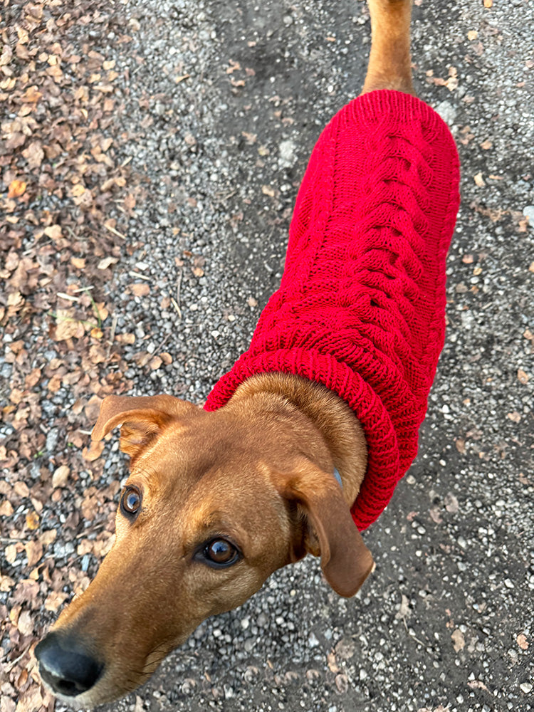 Cable Dog Sweater Knitting Pattern Handy Little Me Shop cable-dog-sweater-knitting-pattern-handy-little-me-shop