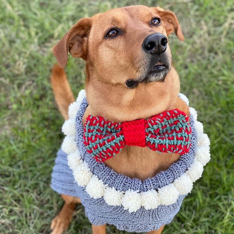 Bow Tie Knitting Pattern - Handy Little Me Shop