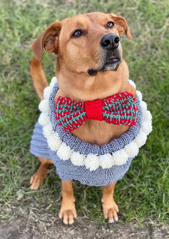 Dog Sweater Pattern Bundle - Handy Little Me Shop