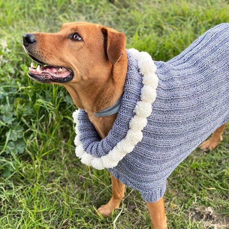 Christmas Dog Sweater Pattern