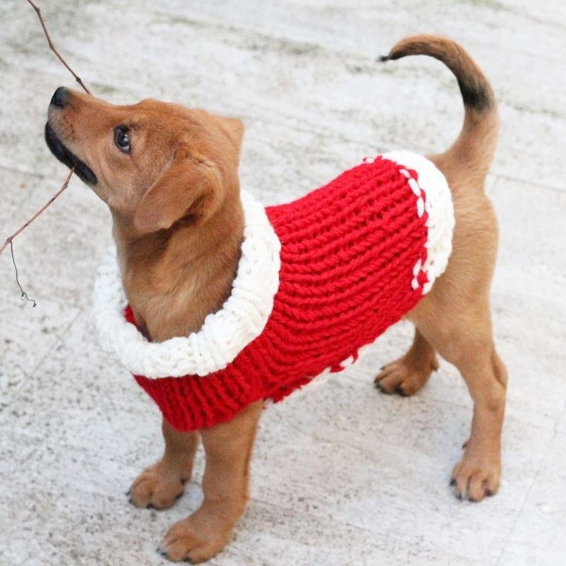 Christmas Puppy Sweater Pattern - Handy Little Me Shop