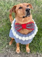 Dog sweater and knitted bow tie