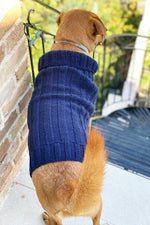 Knitted dog sweater