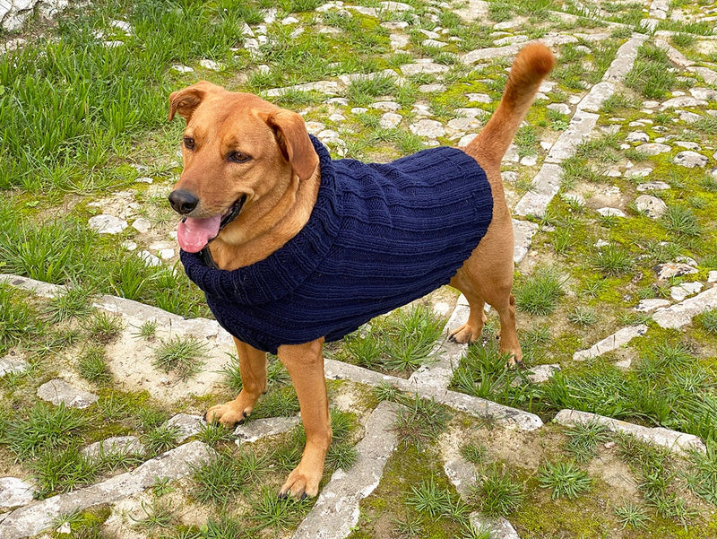 Dog sweater knitting pattern