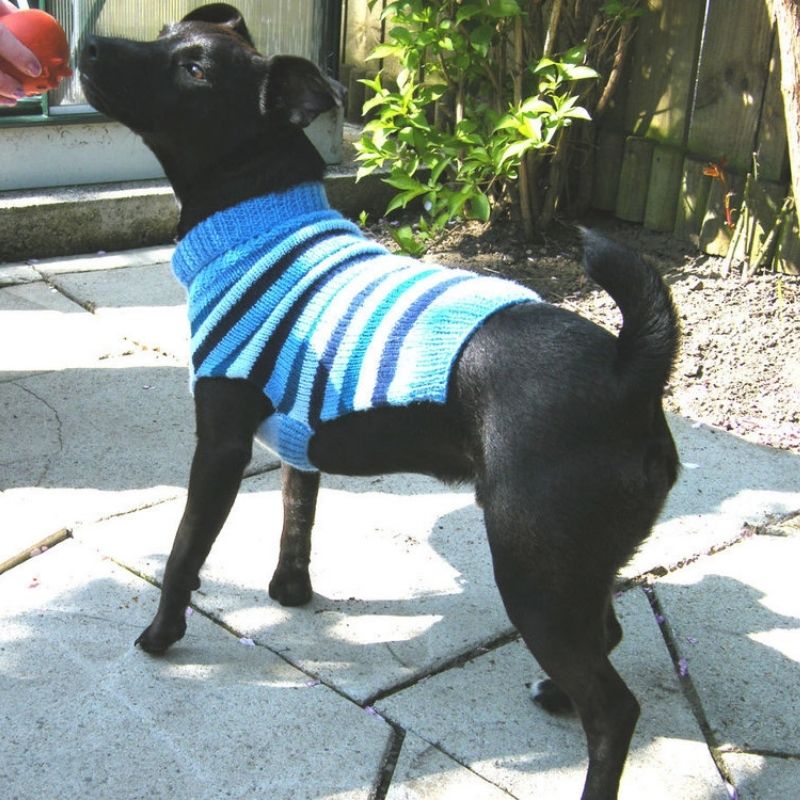 Dog Sweater Knitting Pattern