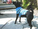 Dog+sweater+pattern