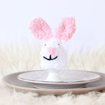 Easter Bunny Egg Cozy Knitting Pattern