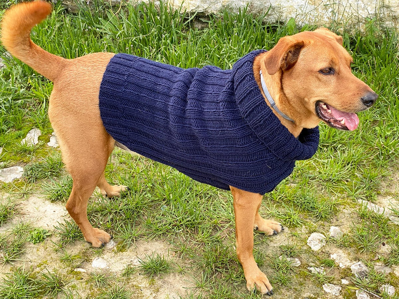 Easy knit dog jumper