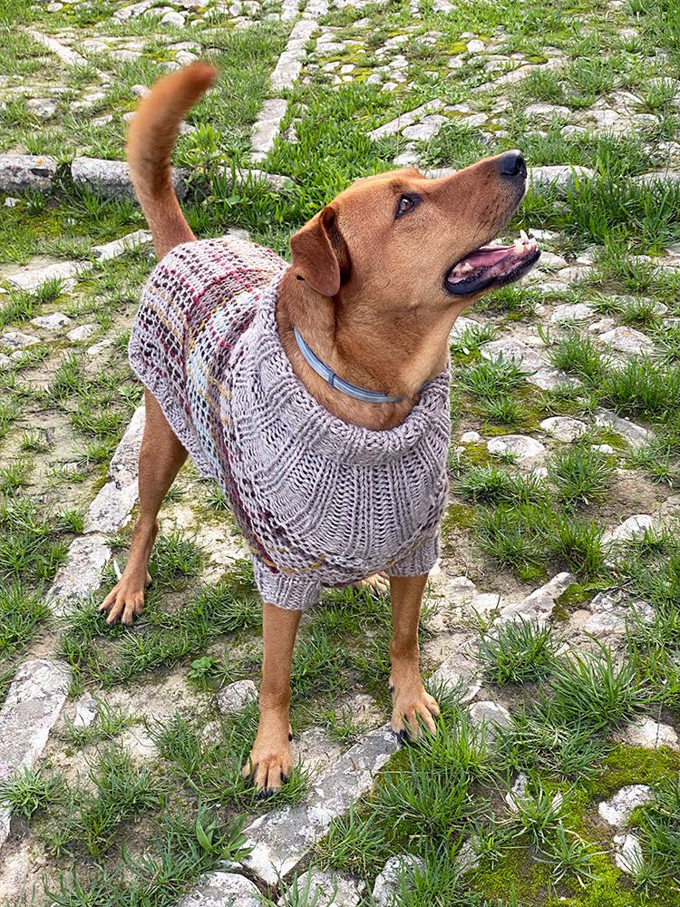 Dog Sweater Pattern Bundle - Handy Little Me Shop