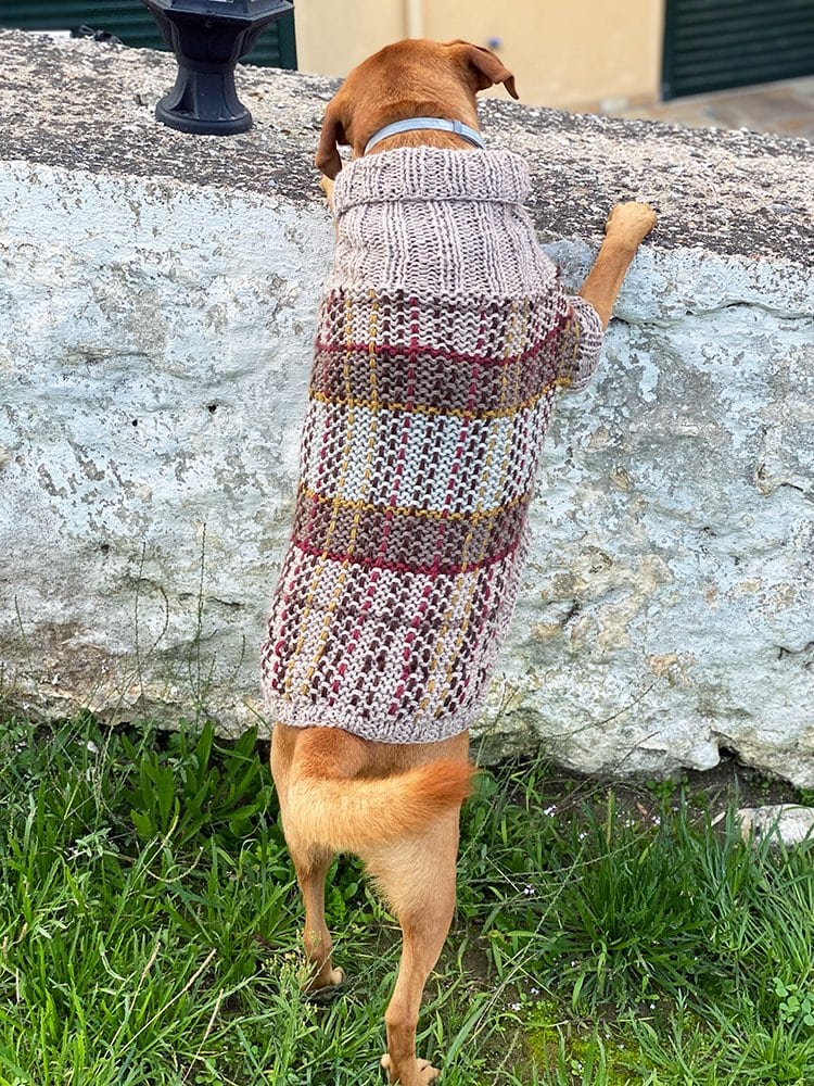 Fraser tartan dog sweater knitted