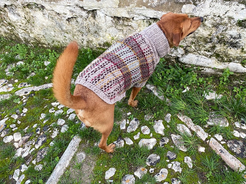 Fraser Tartan Dog Sweater Pattern - Handy Little Me Shop