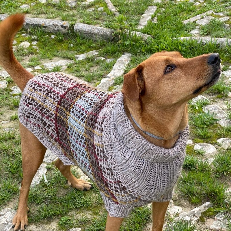 Coat Knitting Beginner Dog Sweater Knitting Pattern Free Easy Red