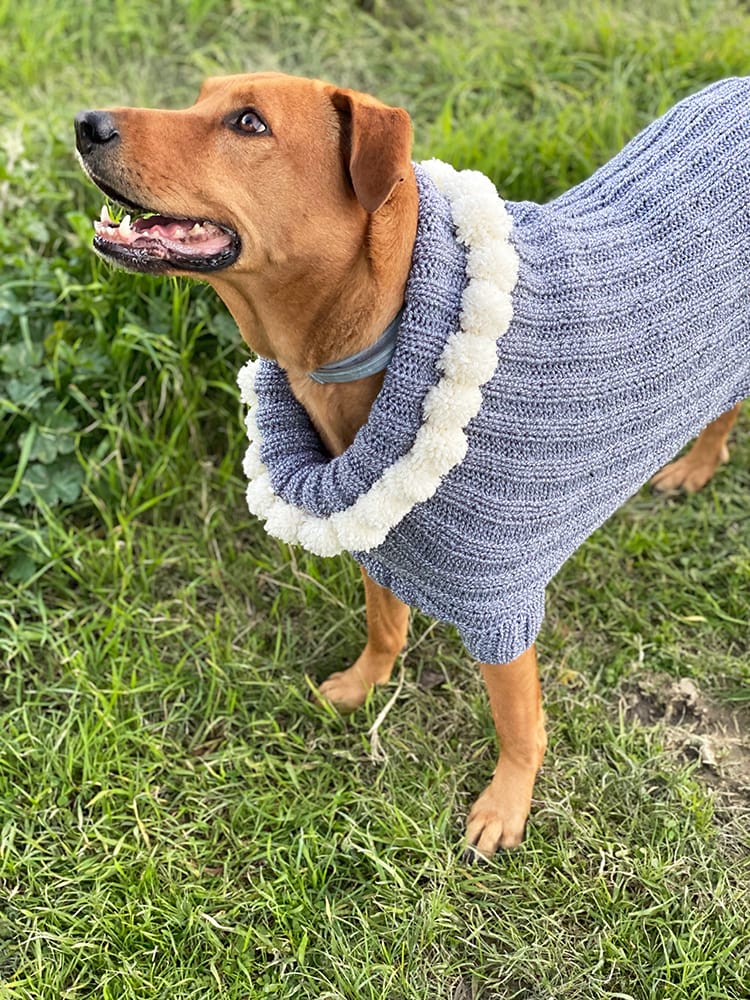 Christmas Dog Sweater Pattern - Handy Little Me Shop
