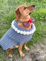 Knitted bow tie and dog sweater