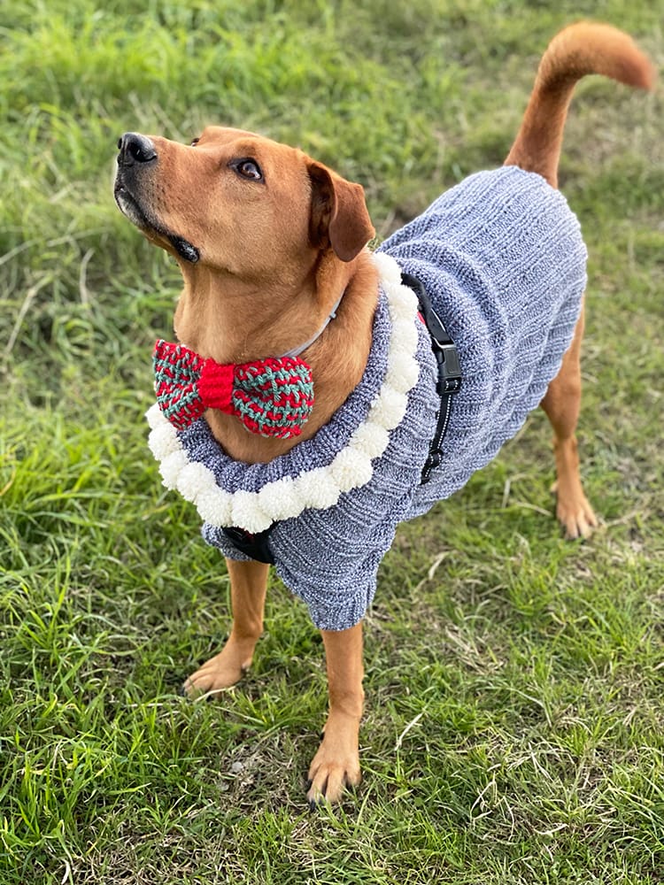 Bow Tie Knitting Pattern - Handy Little Me Shop